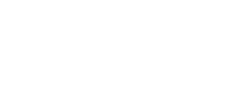 verizon white