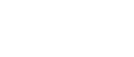 verizon white